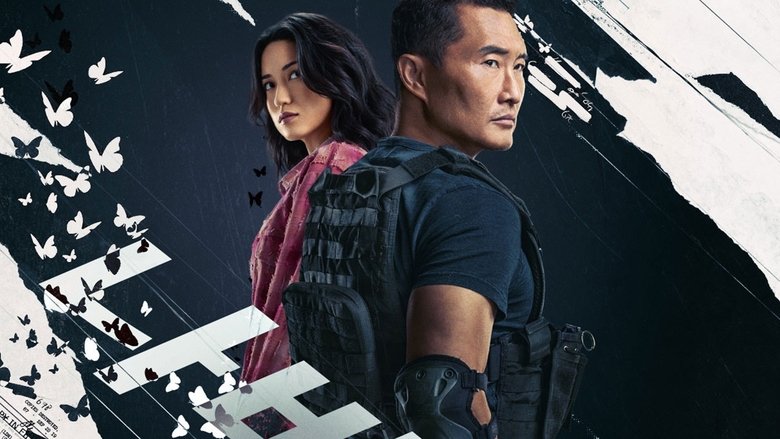 BUTTERFLY 2025 VJ IVO